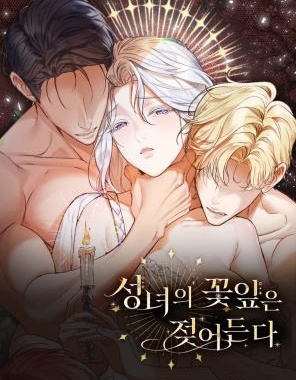 不知疲倦的男主角们