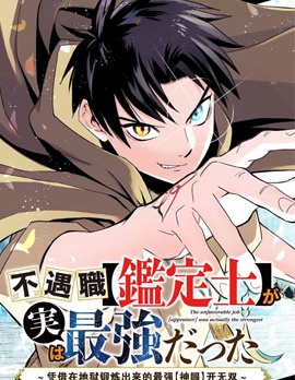 不幸职业鉴定士实则最强