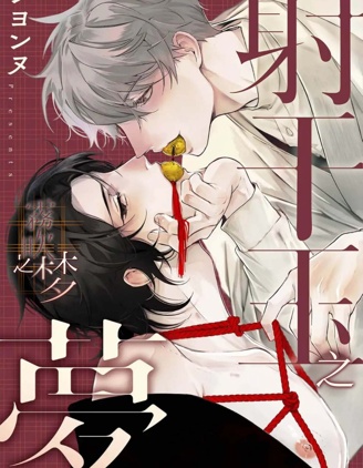 射干玉之梦