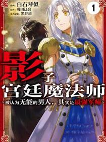 影之宫廷魔术师~本以为无能的男人、其实是最强军师
