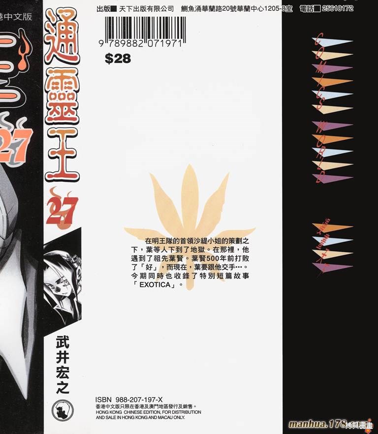 通灵王漫画27卷